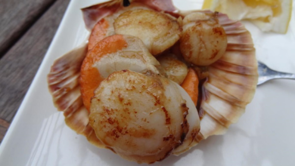 Photo of Scallops in  a sea shell